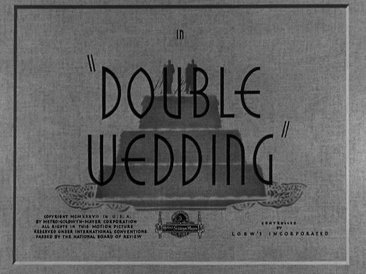 Title screen of Double Wedding
