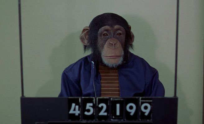 Best snapshot from The Barefoot Executive