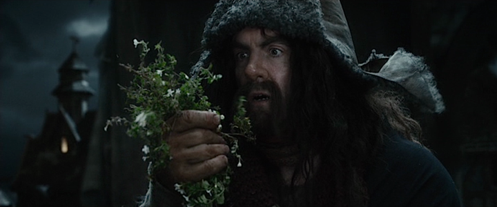 Shot from The Hobbit: The Desolation of Smaug