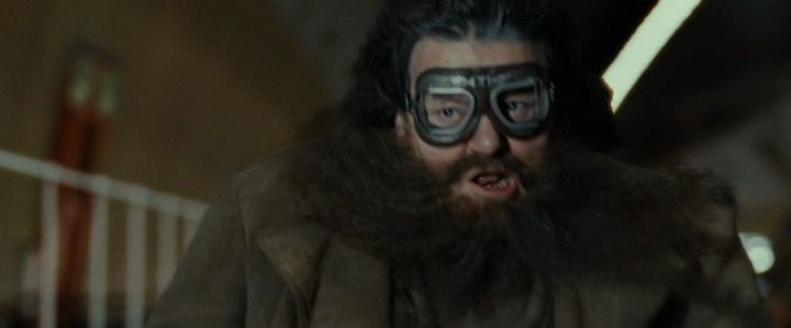 Shot from Harry Potter and the Deathly Hallows: Part 1