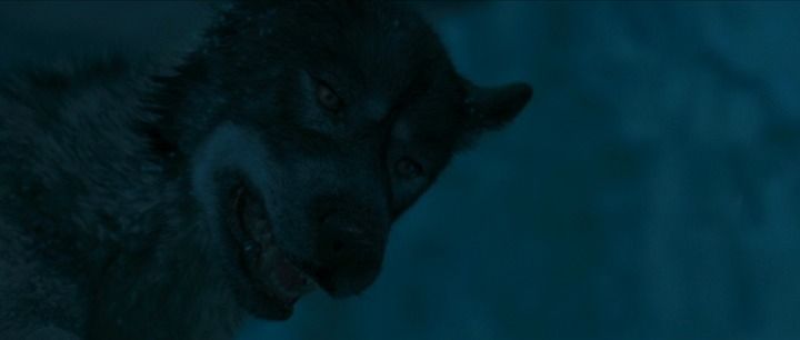 Shot from The Chronicles of Narnia: The Lion, the Witch and the Wardrobe