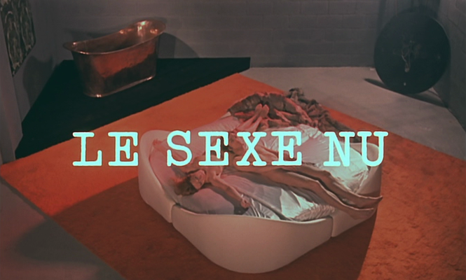 Title screen of Le sexe nu