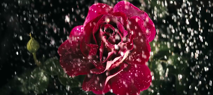 Best snapshot from Beautiful