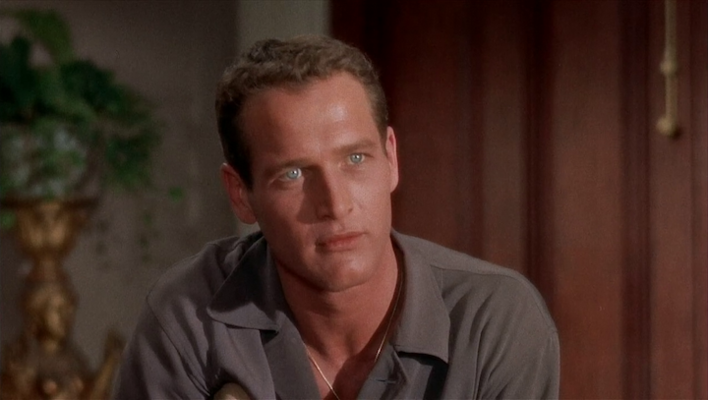 Shot from Cat on a Hot Tin Roof