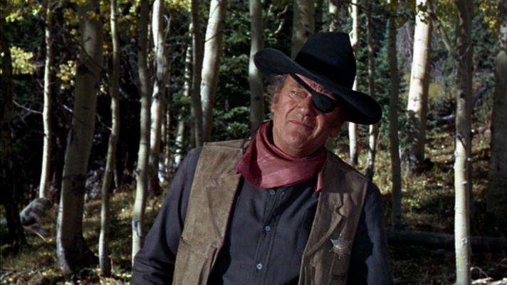 Shot from True Grit