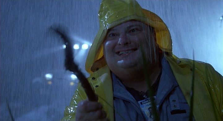 Shot from Jurassic Park