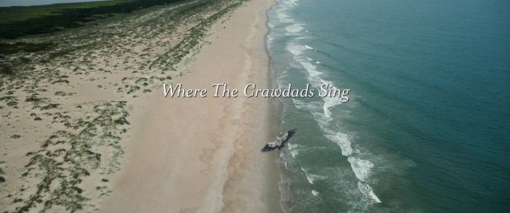 Title screen of Where the Crawdads Sing
