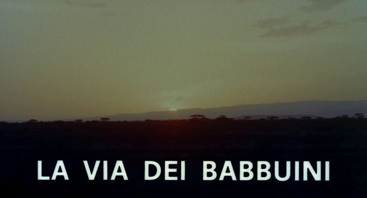 Title screen of La via dei babbuini