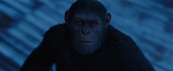 Shot from War for the Planet of the Apes