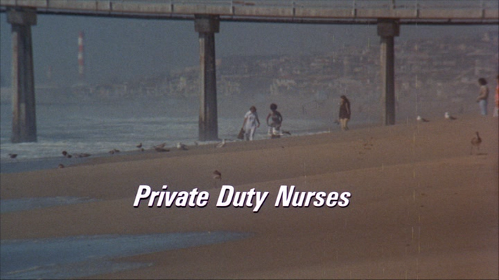 Title screen of Private Duty Nurses