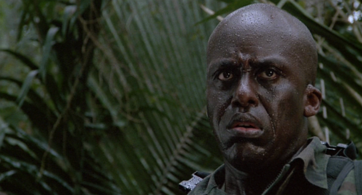 Shot from Predator