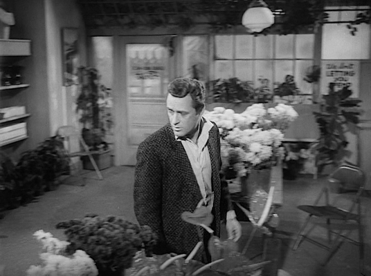 Shot from The Little Shop of Horrors
