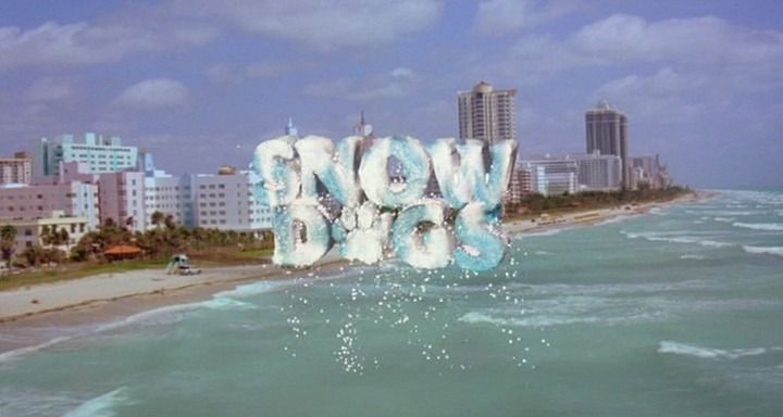 Title screen of Snow Dogs