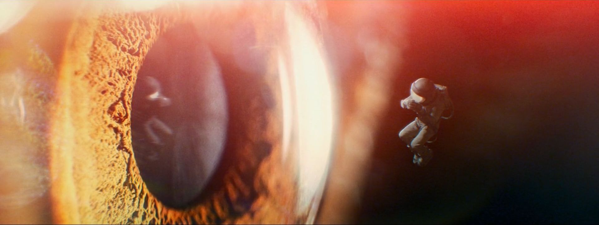 Shot of the Month - April 2021