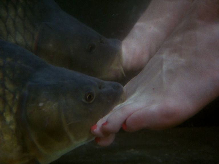 Movie screenshot to guess (shot #284032)