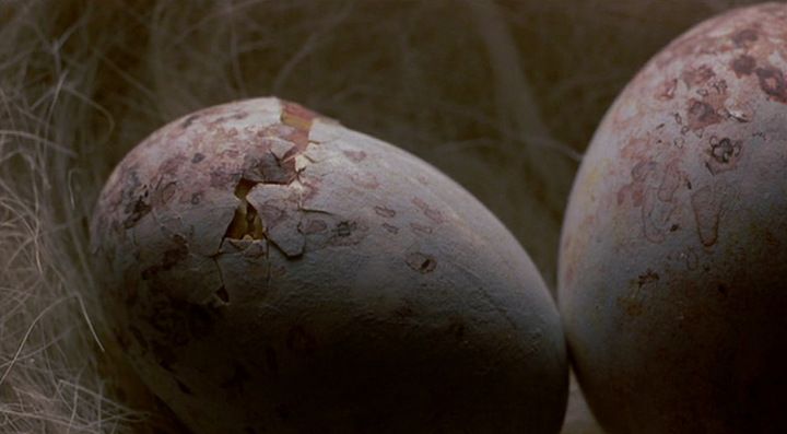 Movie screenshot to guess (shot #119749)