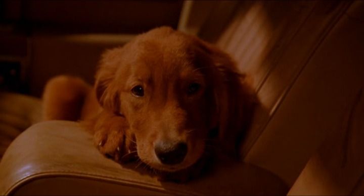 Movie screenshot to guess (shot #57118)