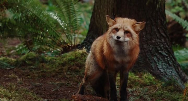 Movie screenshot to guess (shot #57365)
