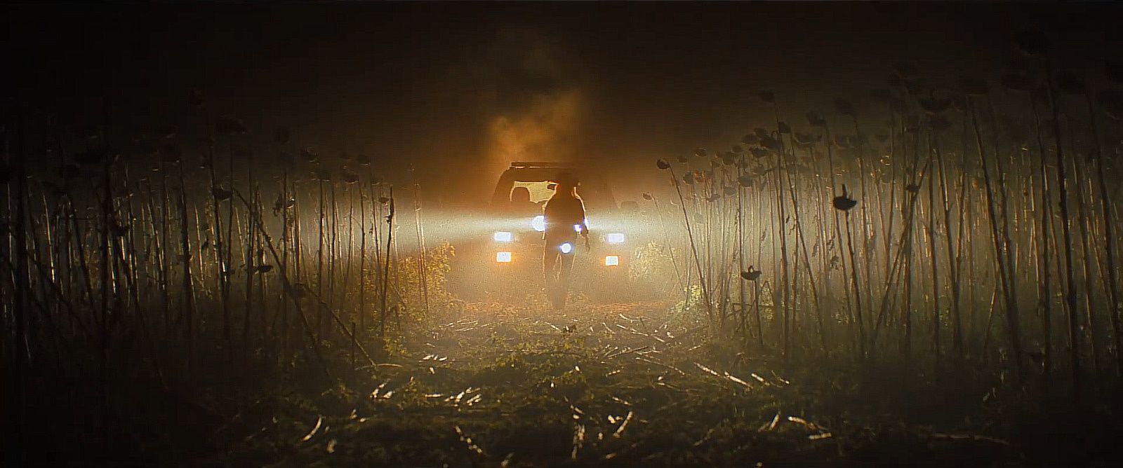 Shot of the Month - December 2024