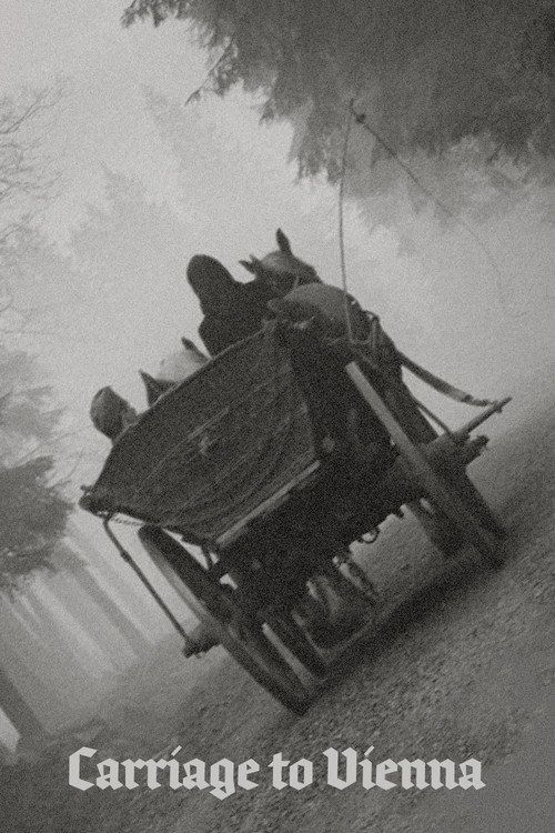 Kocár do Vídne