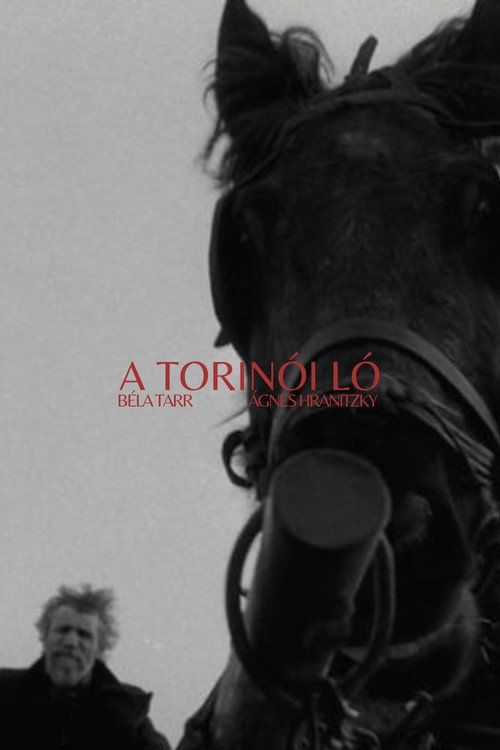 A Torinói ló