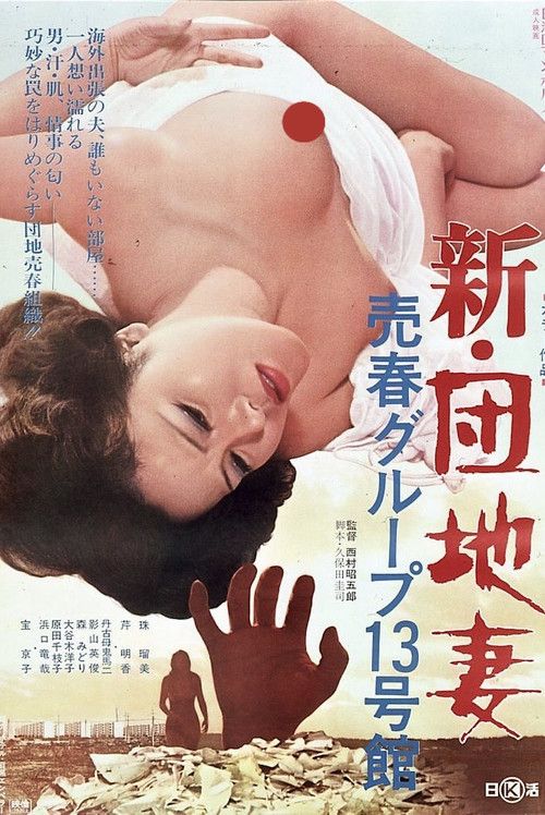 Shin danchizuma baishun gurupu 13-gokan