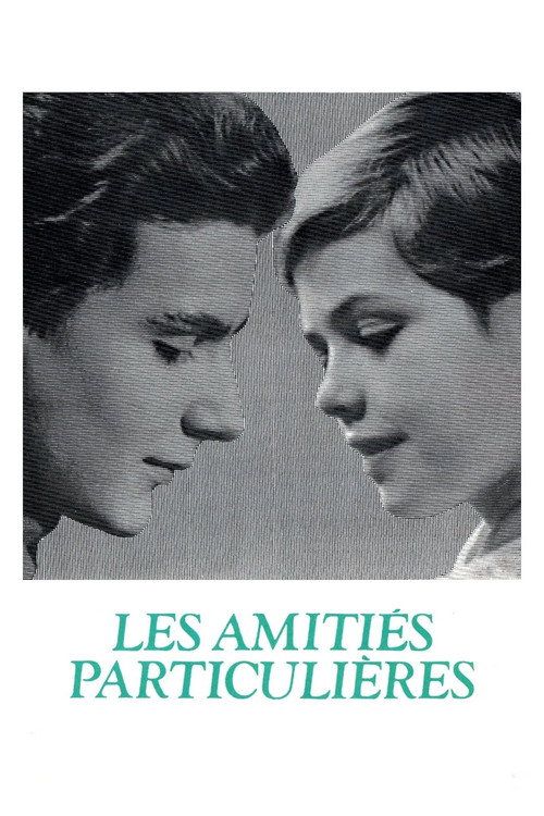 Les amitiés particulières