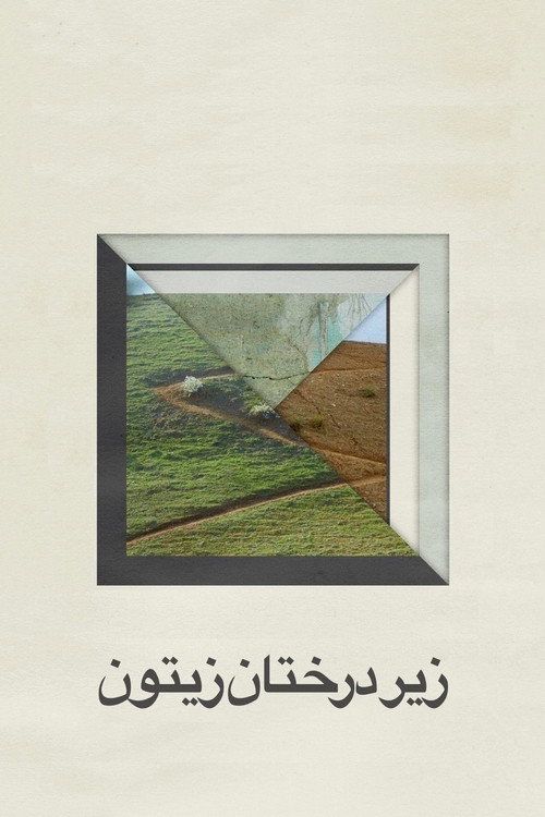Zire darakhatan zeyton