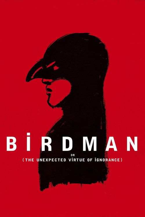 Birdman or (The Unexpected Virtue of Ignorance)