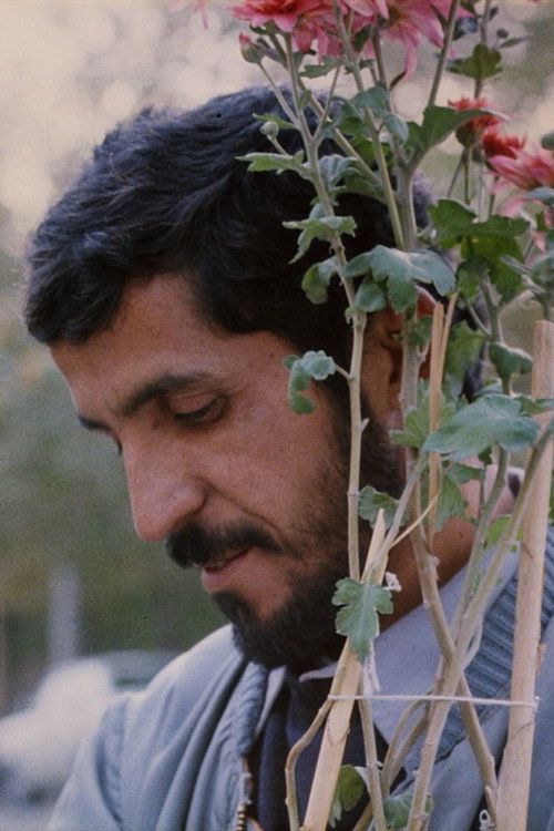 Nema-ye Nazdik